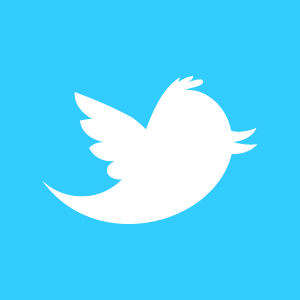 twitter_newbird_boxed_whiteonblue (3K)